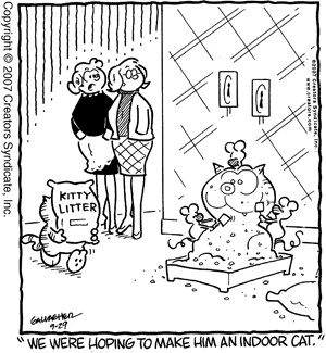 heathcliff